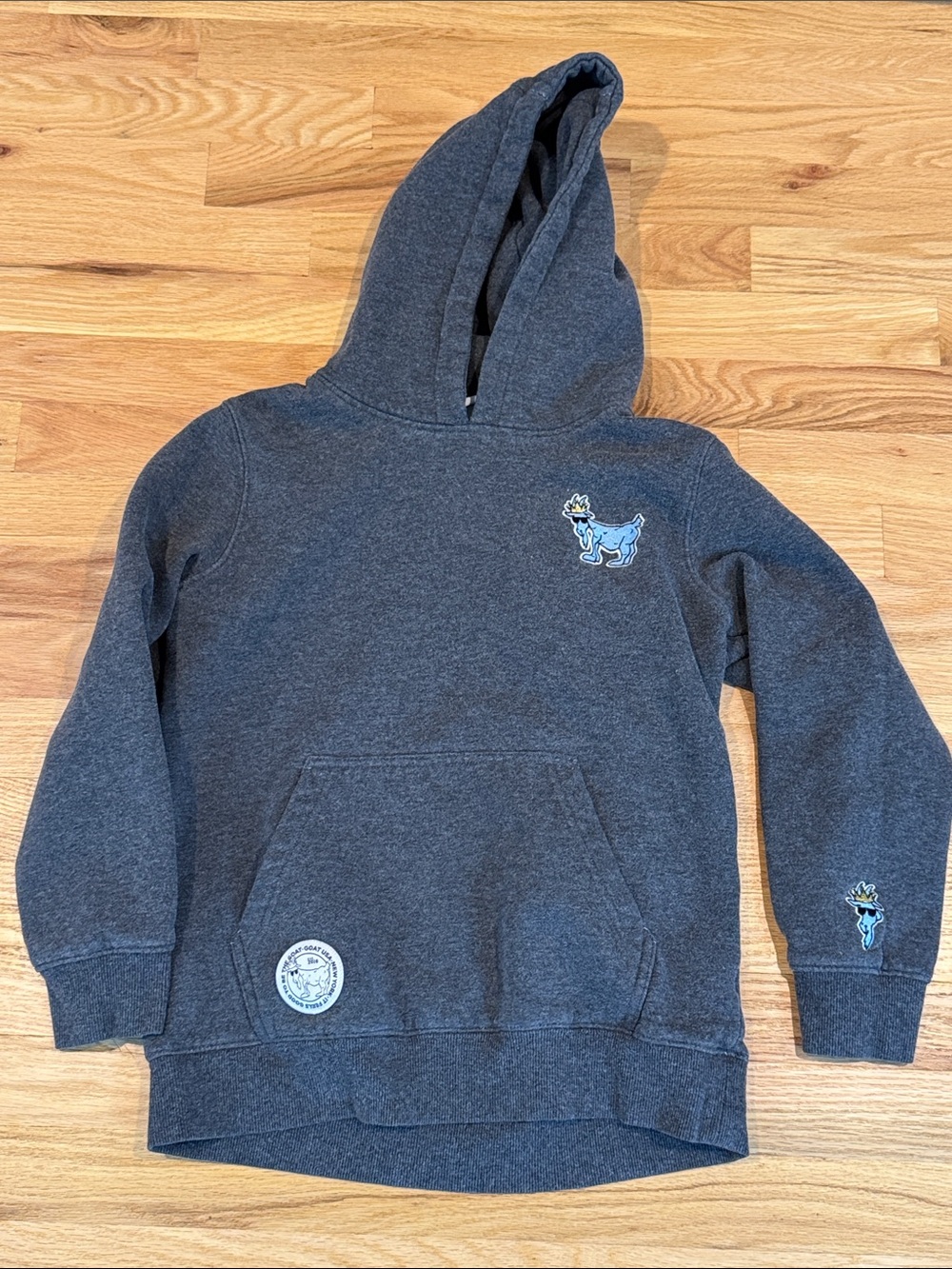 Kids Goat Gray Hooded Sweatshirt
